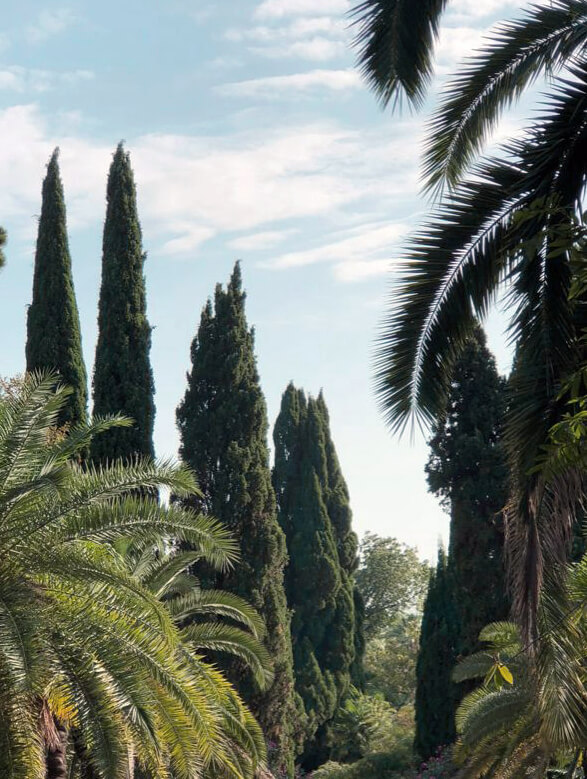 Ландшафтный парк в резиденции «Белые ночи»